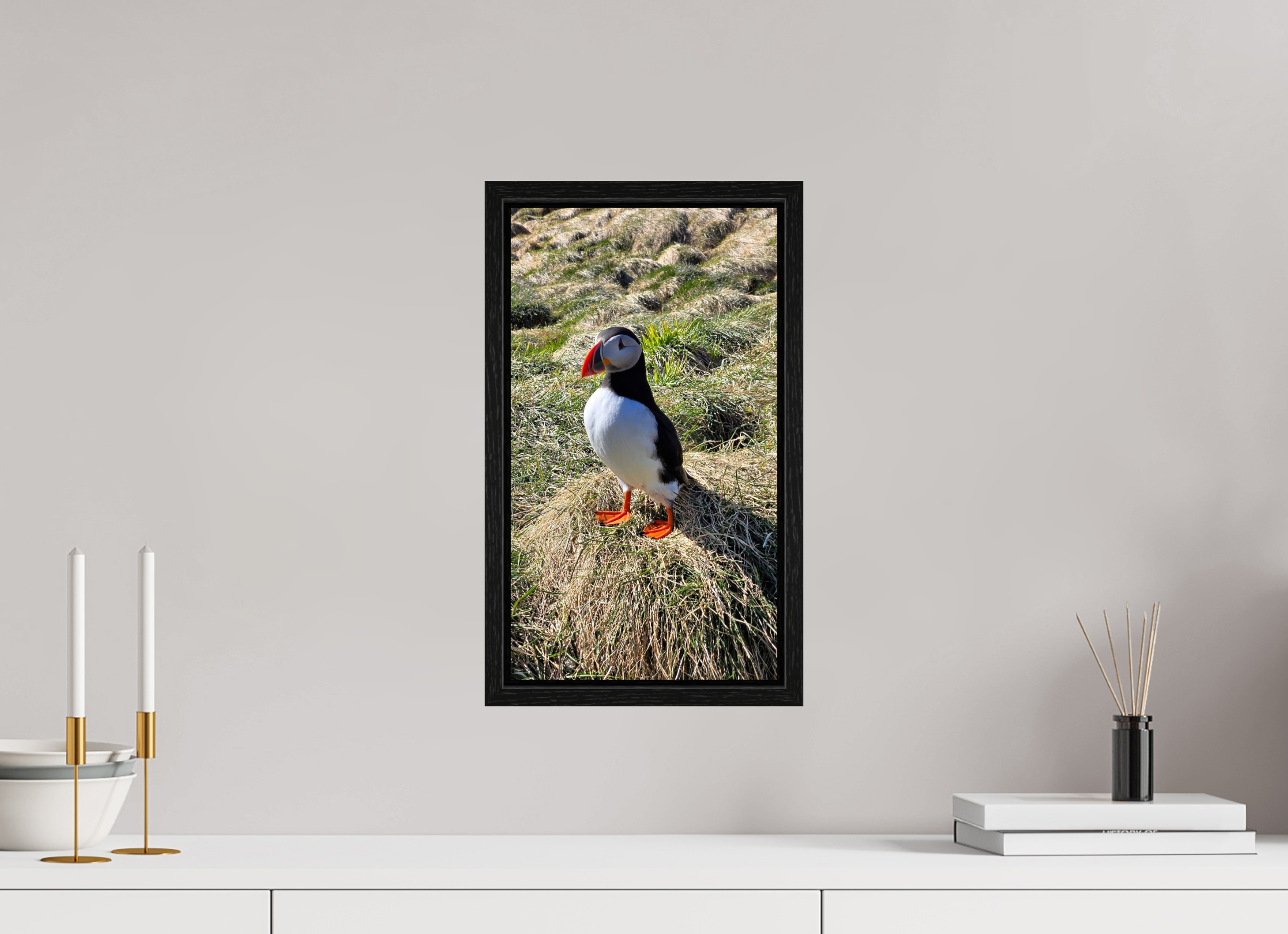 Atlantic Puffin