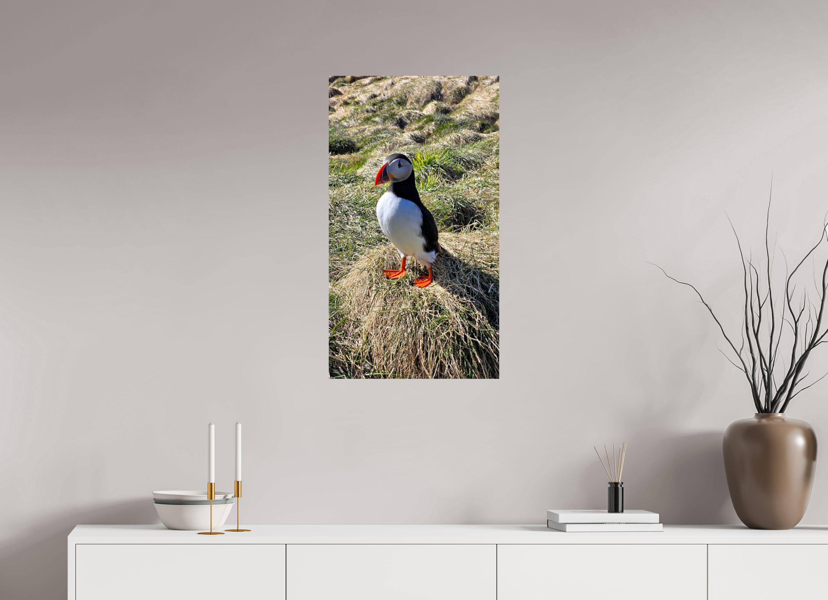 Atlantic Puffin