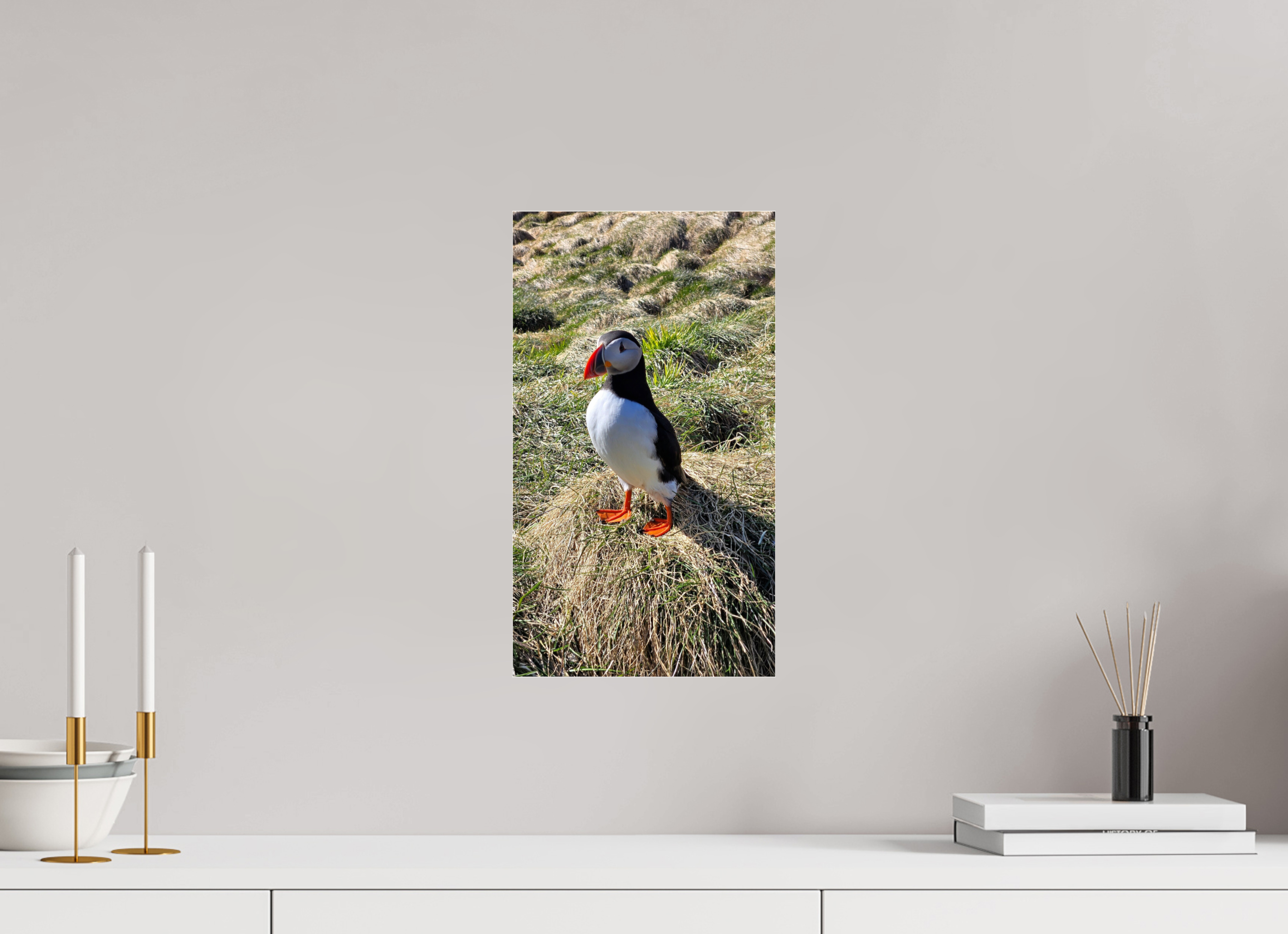 Atlantic Puffin